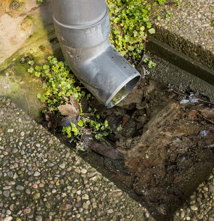 Blocked stormwater drain clogged with leaves